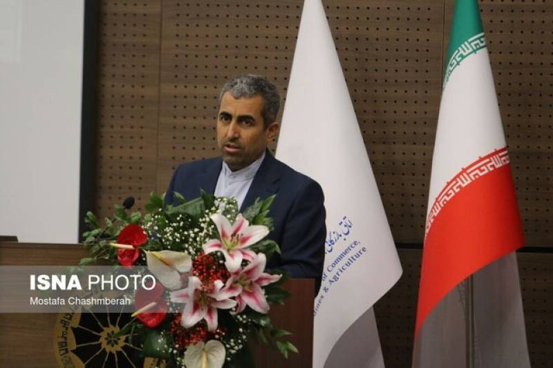 عمده ظرفیت‌های معدنی استان کرمان در بخش دولتی حبس شده است